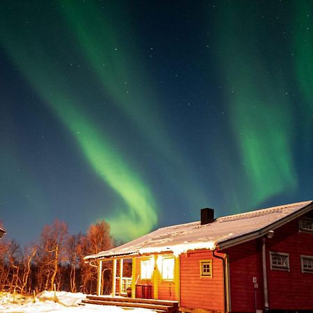 Trivelig Hytte I Senja. 외부 사진