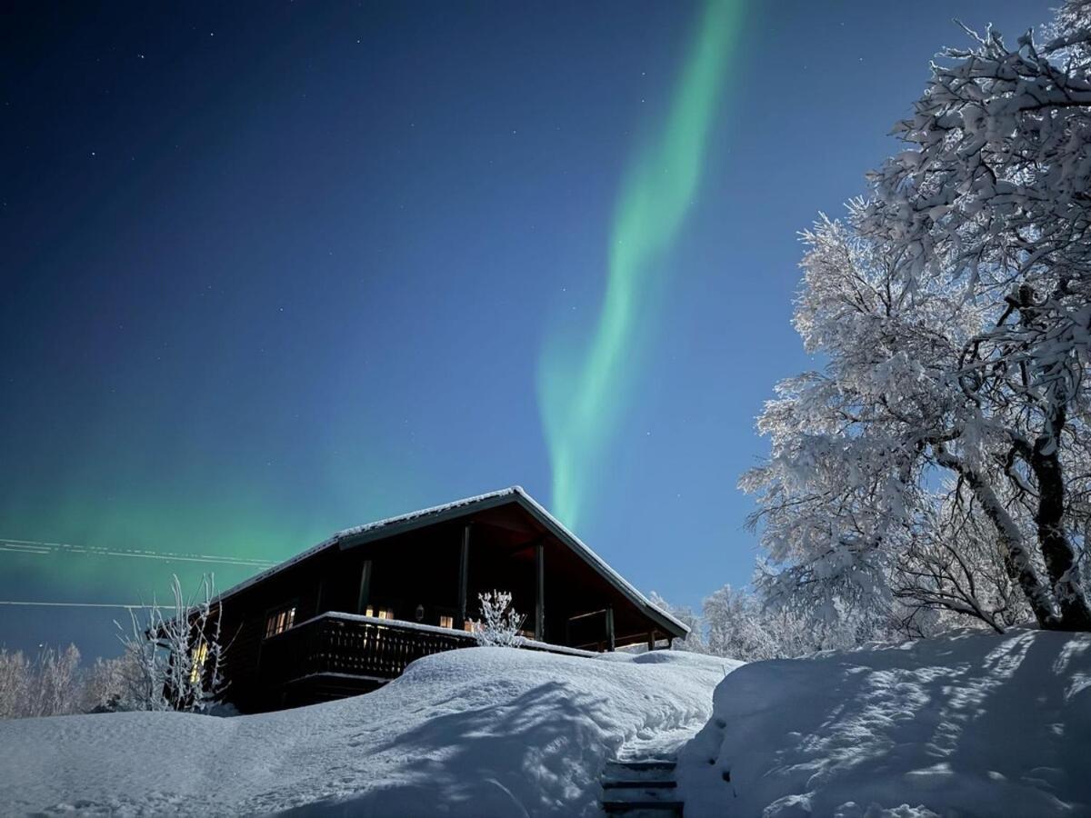 Trivelig Hytte I Senja. 외부 사진