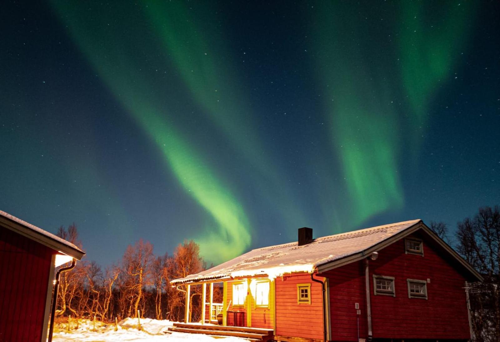 Trivelig Hytte I Senja. 외부 사진