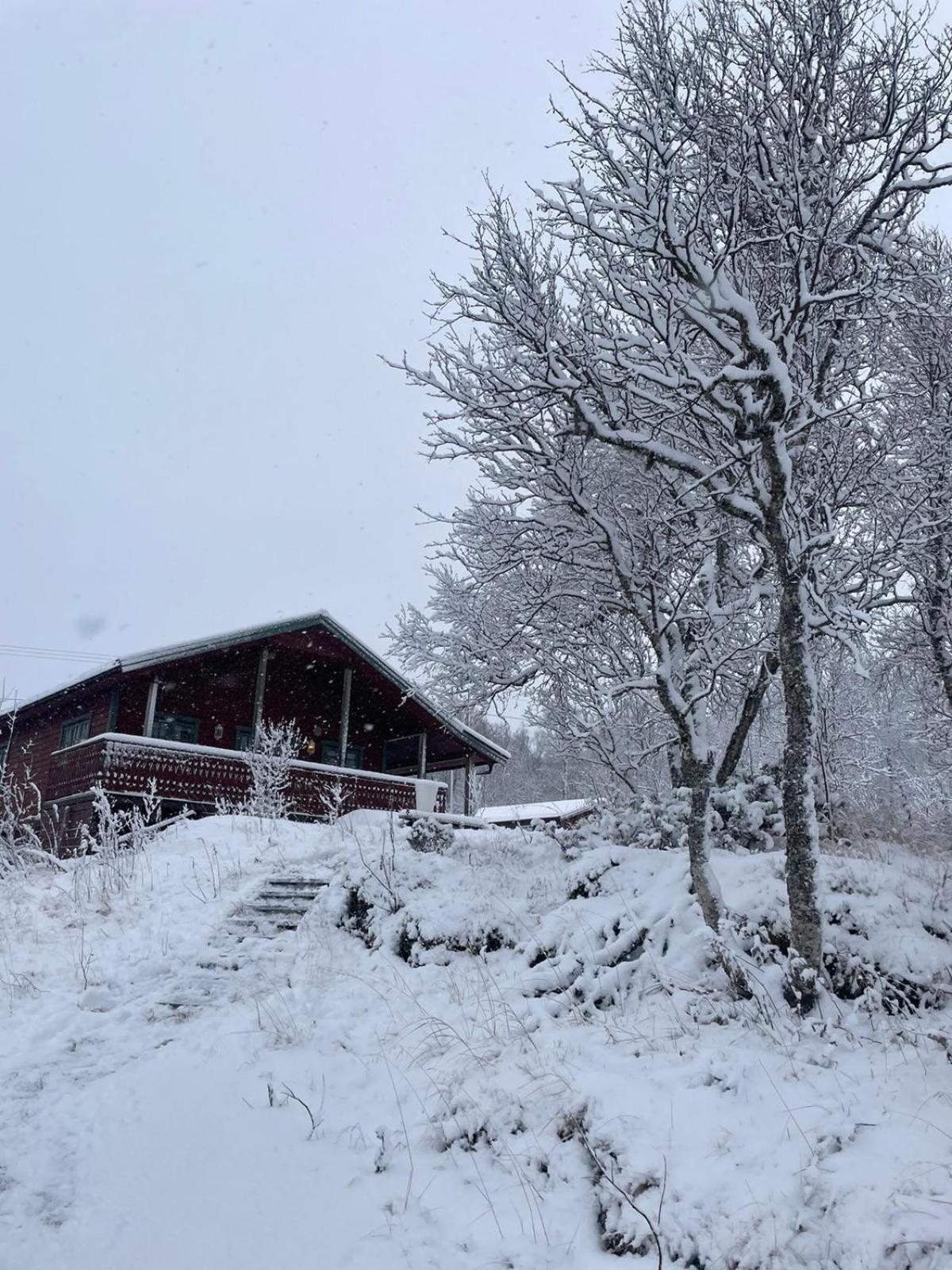 Trivelig Hytte I Senja. 외부 사진